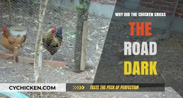 Why the Chicken Crossed the Road: Unraveling the Dark Mystery