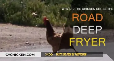 The Chicken's Road Trip: From Road to Fryer