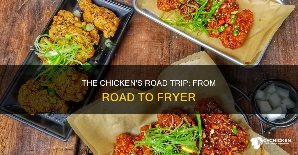 why did the chicken cross the road deep fryer