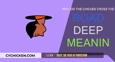 The Chicken's Journey: A Deep Meaning