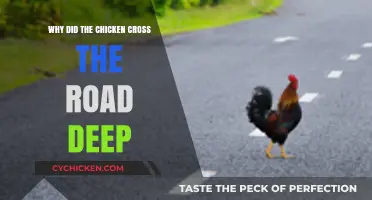 Why Did the Chicken Cross the Road? Deep Dive