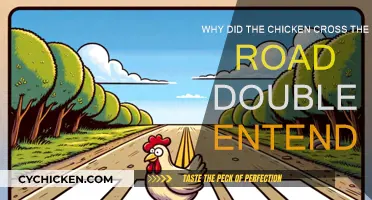 The Chicken's Risky Road Trip: A Double Entendre