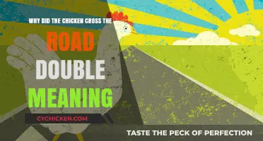 The Chicken's Road Trip: A Tale of Adventure and Mystery