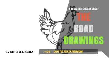 Why Did the Chicken Cross the Road? Exploring Hilarious Drawings