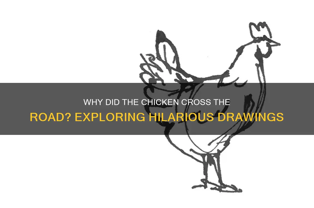 why did the chicken cross the road drawings