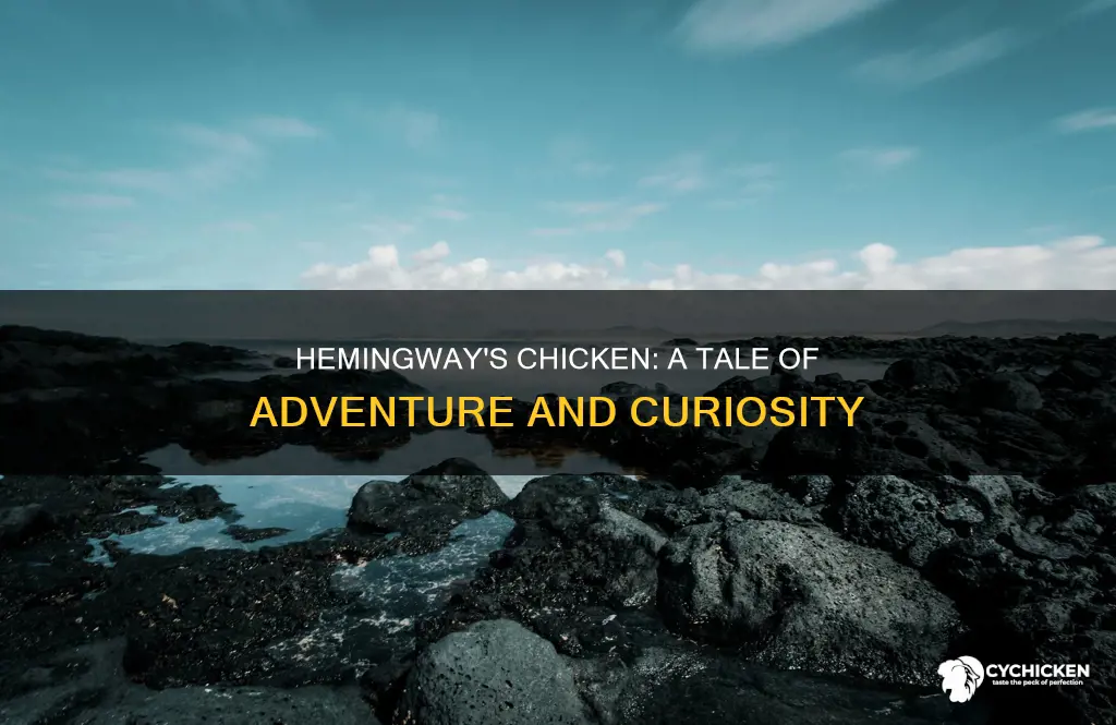 why did the chicken cross the road ernest hemingway