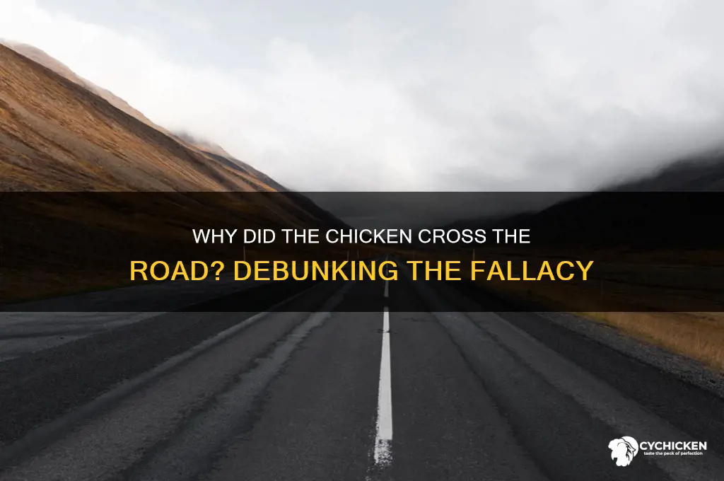 why did the chicken cross the road fallacy