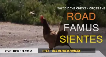 Famous Scientists Crack the Chicken Conundrum