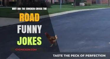 Clucking Hilarious: Why Did the Chicken Cross the Road?