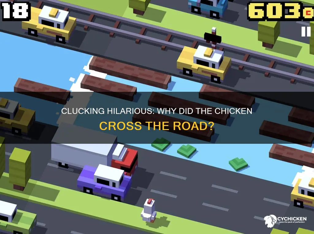why did the chicken cross the road funny jokes