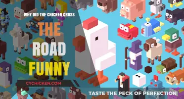 Why Did the Chicken Cross the Road? Hilarious Answers Revealed!