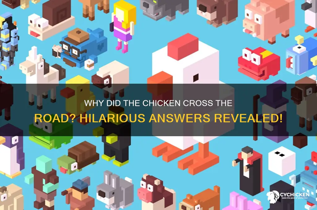 why did the chicken cross the road funny