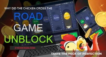 How the Chicken Crossed the Road Safely