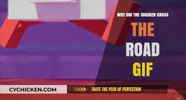 Why Did the Chicken Cross the Road? Hilarious GIF Explained