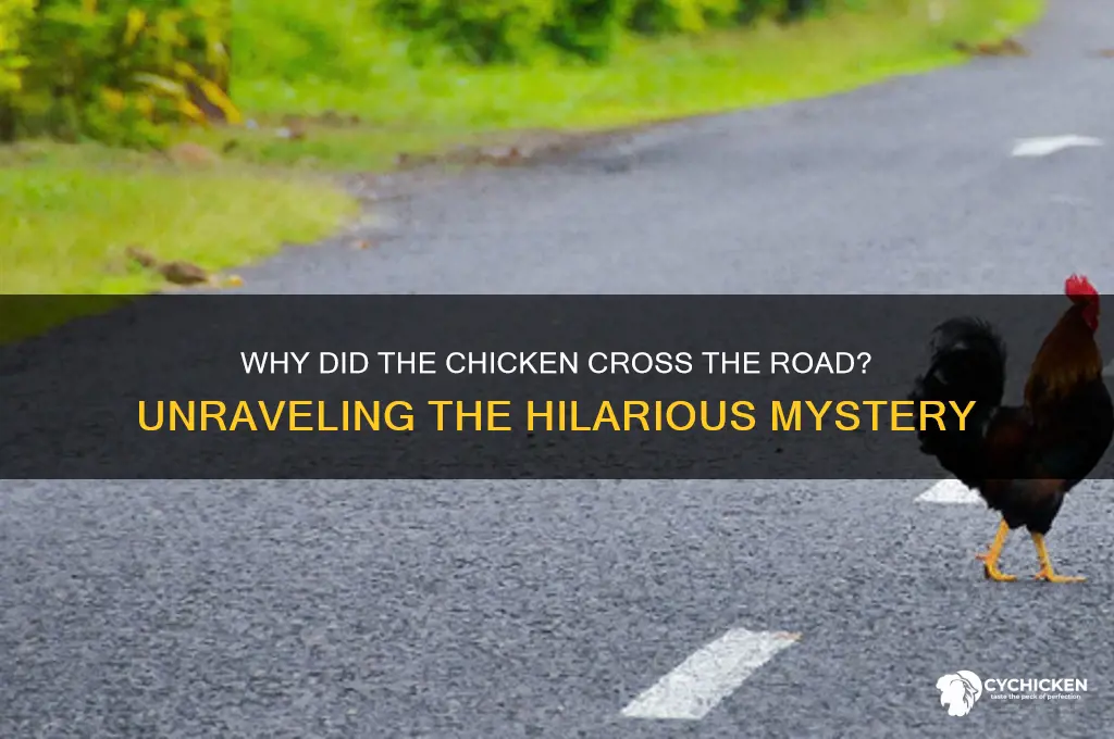 why did the chicken cross the road hahahaha