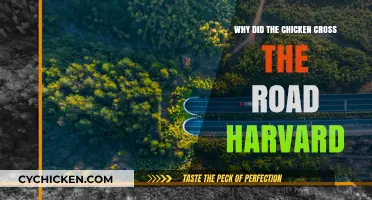 Why Did the Chicken Cross the Road? Harvard's Take