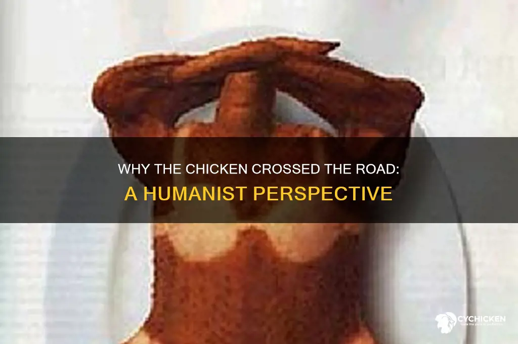 why did the chicken cross the road humanism