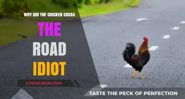 Why Chickens Cross Roads: Debunking the Idiot Joke's Logic