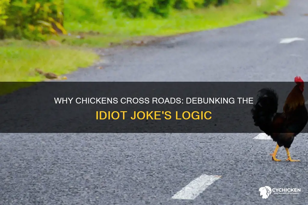 why did the chicken cross the road idiot