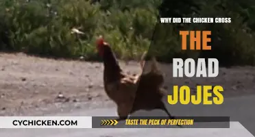 Why Did the Chicken Cross the Road? Unraveling the Joke's Timeless Appeal