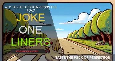 Best One-Liners: Chicken Cross the Road Jokes