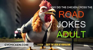 Adult Humor: Why Did the Chicken Cross the Road?