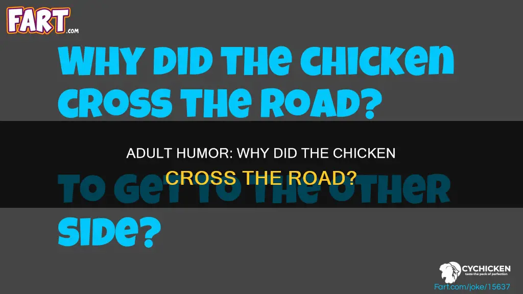 why did the chicken cross the road jokes adult
