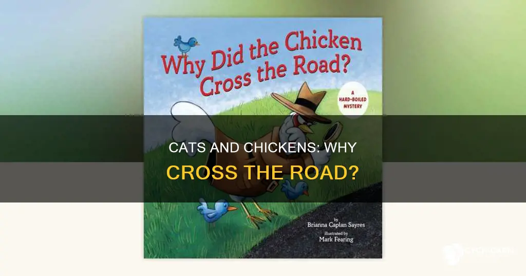 why did the chicken cross the road jokes cat
