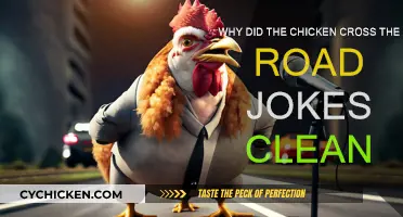 Best 'Why Did the Chicken Cross the Road?' Jokes for Kids