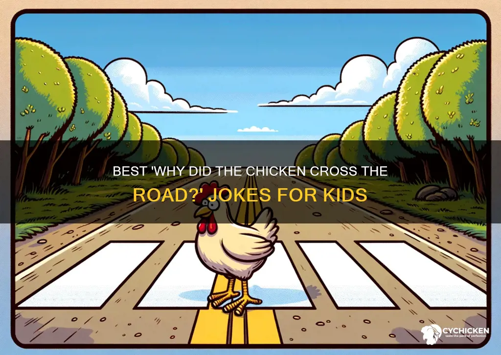why did the chicken cross the road jokes clean