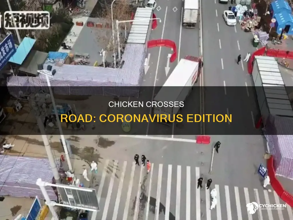 why did the chicken cross the road jokes coronavirus