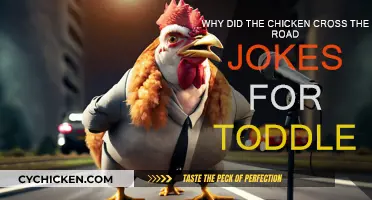 Chicken Jokes for Toddlers: Why Cross the Road?