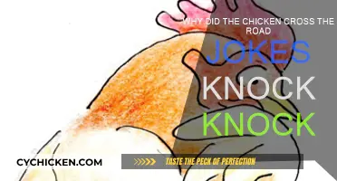 Chicken Jokes: Crossing the Road with Laughter