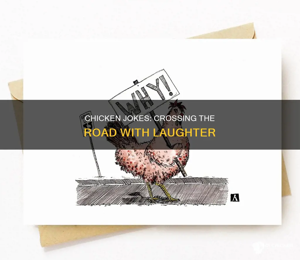 why did the chicken cross the road jokes knock knock