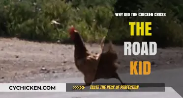 Why Did the Chicken Cross the Road? Unraveling the Kid-Friendly Mystery