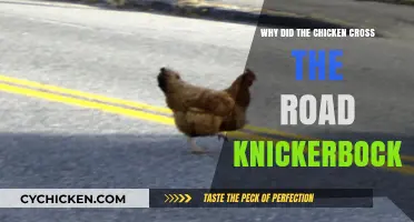 Why Did the Chicken Cross the Road? Knickerbocker's Hilarious Answer