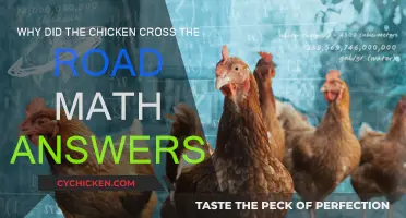 Math Jokes: The Chicken Crossed the Road