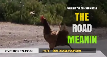 Why Did the Chicken Cross the Road? Unraveling the Joke's Hidden Meaning