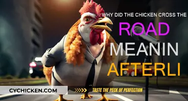 Chicken Crossing Road: A Metaphor for Afterlife Understanding