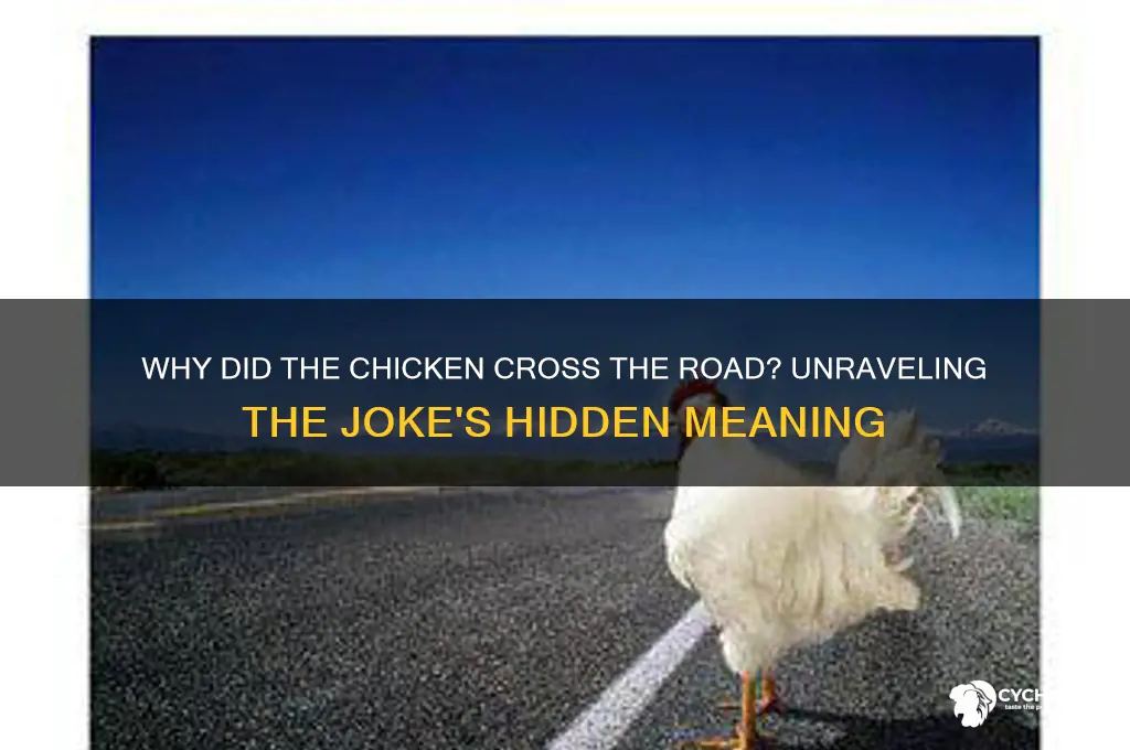 why did the chicken cross the road meaning
