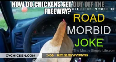The Chicken's Dark Road Trip