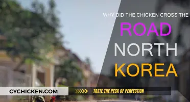 Chicken's Road Trip: North Korea's Bizarre Border Tale