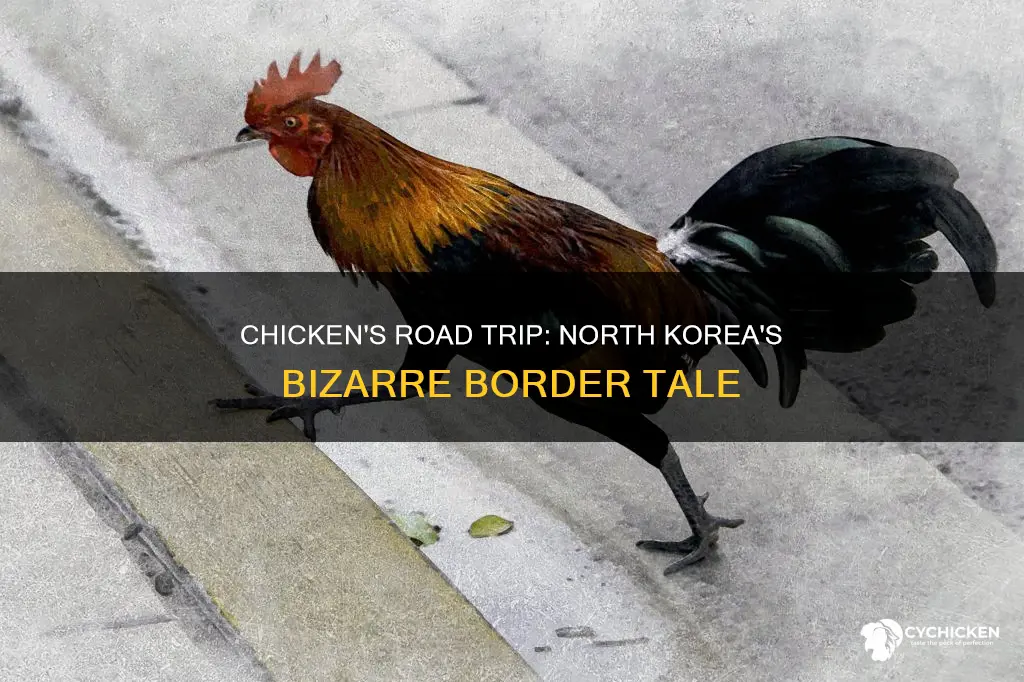 why did the chicken cross the road north korea