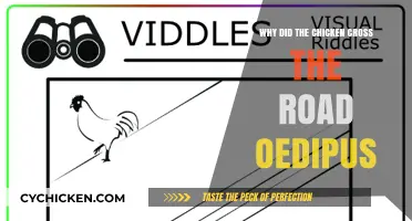 Oedipus' Riddle: Decoding the Chicken's Road-Crossing Mystery