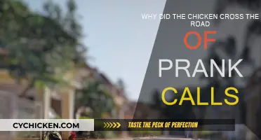 Prank Calls: The Chicken's Journey to the Other Side