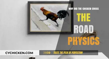 Why Chickens Cross Roads: A Physics-Based Analysis of Poultry Motion