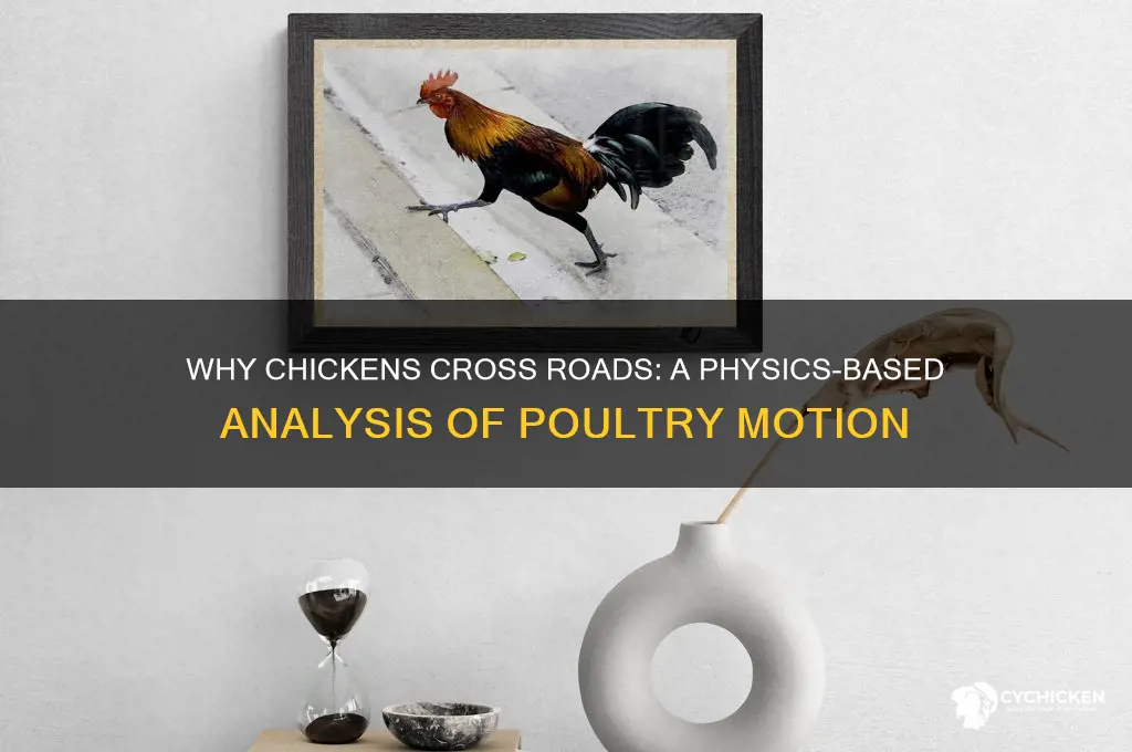 why did the chicken cross the road physics