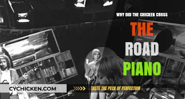 Why Did the Chicken Cross the Road? Piano Edition