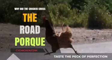 Why Did the Chicken Cross the Road? Exploring the Joke's Bilingual Twist