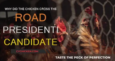 Presidential Candidates: Chicken's Road Crossing Explained